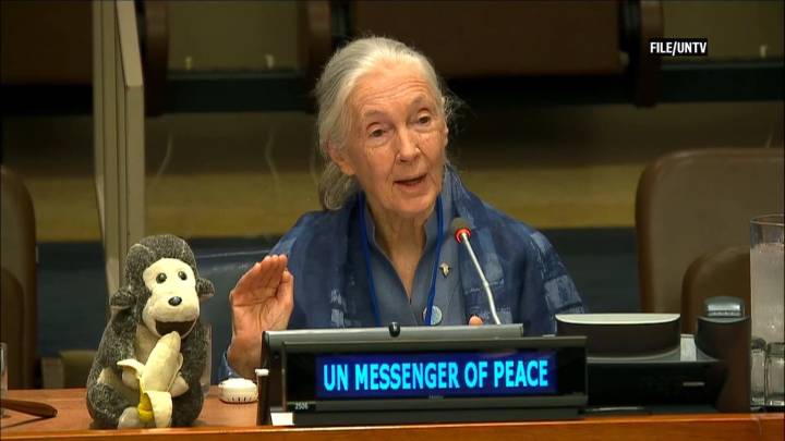 Jane Goodall dies at age 91
