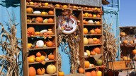 See the 2025 New Mexico Pumpkin Festival in Las Cruces