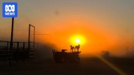 BOM's first long-range summer forecast shows increased chance of extreme heat