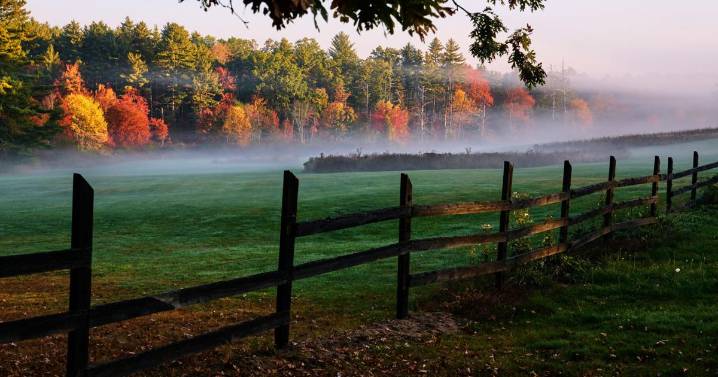 Leaf-peeping season hampered by drought: Fall foliage dropping sooner, showing less color