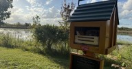 Wellington mother turns grief into healing with “Wind Phone” at local preserve
