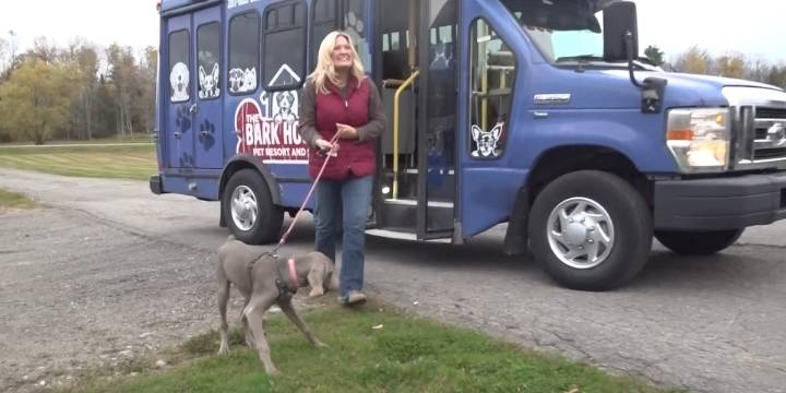 Owners of new Hermon pet care business say they saw a need in the community