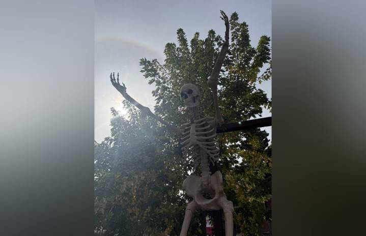 Here’s what you need to know about Halloween in Calgary