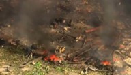 Ningún sobreviviente tras explosión en fábrica de EE. UU.