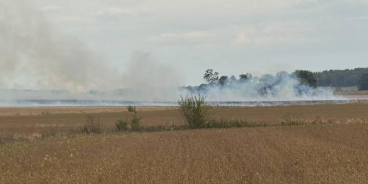 Field fire burns crops right in the middle of department’s chili super fundraiser