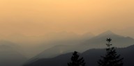 Humo de incendios forestales reduce la calidad del esperma, revela reciente estudio