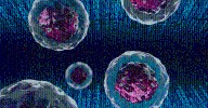 The Race to Build a Virtual Human Cell