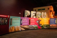 ¿Qué destaca sobre Perú la muestra “Llévame allí” del Museo de Niños de Indianápolis?