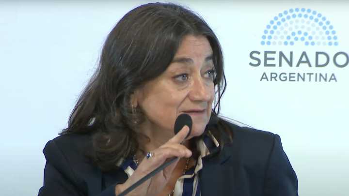 Corpacci pidió la citación de Lugones y la ANMAT por el uso de fentanilo contaminado