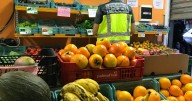 Condenada la trabajadora de una frutería de Palma por un robo de 18.590 euros