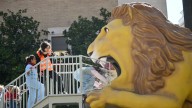 Éxito del León Garganchón en las Fiestas del Pilar: dobla al Tragachicos en el primer día