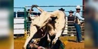 “It’s what I love”: Teen bull rider returns to competition only a few months after terrifying accident