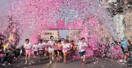 Pinktate de Rosa, pinta de color y amor el centro de Morelia