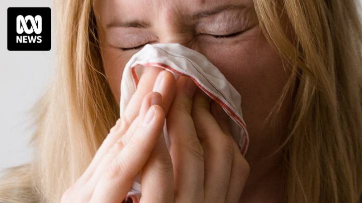WA's flu season exceeds 30,000 cases as authorities  blame low vaccination rates