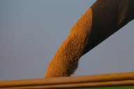 Crop price only 1 piece of farmers’ marketing puzzle