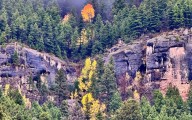 Lander Photographer Captures Striking Aspen 'Leaf Fall' In Sinks Canyon