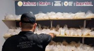 Aseguran 385 kilos y 170 litros de metanfetamina en cateo en Culiacán, Sinaloa