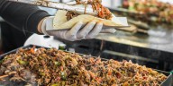 8th annual Taco Week brings the heat to The Queen City