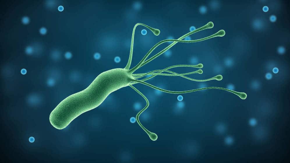 ¿Sabías cómo detectar helicobacter pylori?