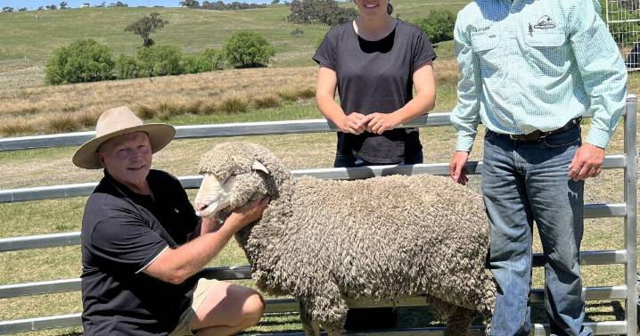 Fosterfield Fine Wools ram sale tops at $2700, increased average