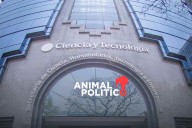 Suma Secihti 51 denuncias por despido injustificado; a Berenice la corrieron embarazada
