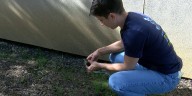 Project Safe Flight working to reduce bird deaths from hitting windows