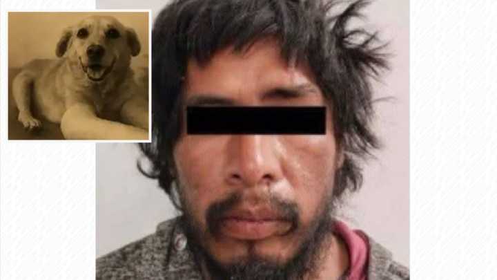 Sujeto le Avienta una Piedra a Perro "Huesitos" y lo Lesiona en Puebla