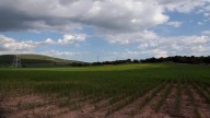 Pérdidas del 60% en cultivos aumentará precios en el mercado: Ejido de Chinameca
