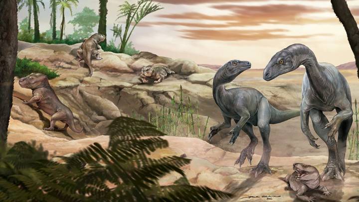 Científicos del CONICET hallan uno de los dinosaurios más antiguos del mundo en La Rioja