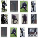 Armored Car Robbery Spree Spanned Pennsylvania, New York, Virginia: FBI