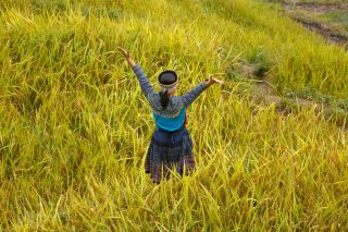 "The Zen of the Wild": Discovering the Wild Within Ourselves