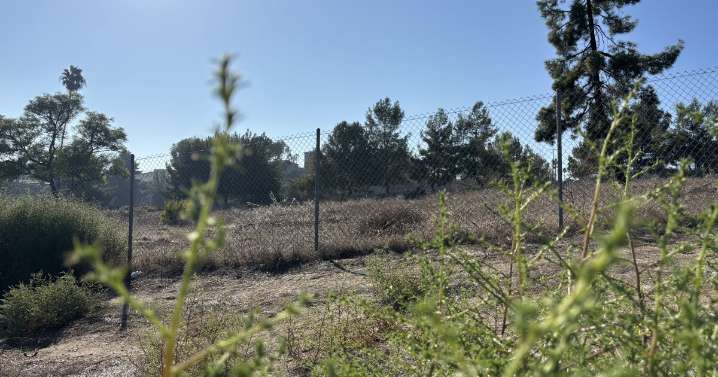 County to move forward with plans to build cabins for homeless people in East County