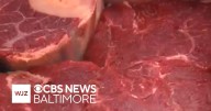 Maryland cattle farmers react to potential increase in beef imports from Argentina