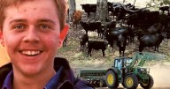 Australian youth: Rising to challenges with resilience