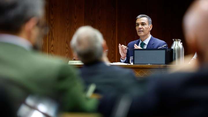 Sánchez puso en las listas europeas a la pareja del senador que le defiende en el Senado