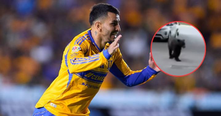 ¡QUÉ MIEDO! Ángel Correa huye con su hijo en brazos de un oso que rondaba las calles de su casa (VIDEO)
