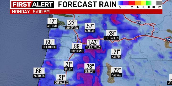 Chilly and wet Sunday