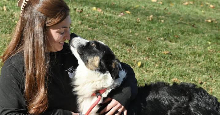 NH ranks as third-best state to own a dog