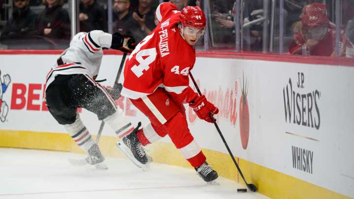 10 things to know about the Red Wings as 'do-or-die' season gets underway