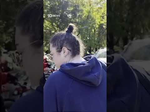 Chicago Residents Confront US Troops During Immigration Raid