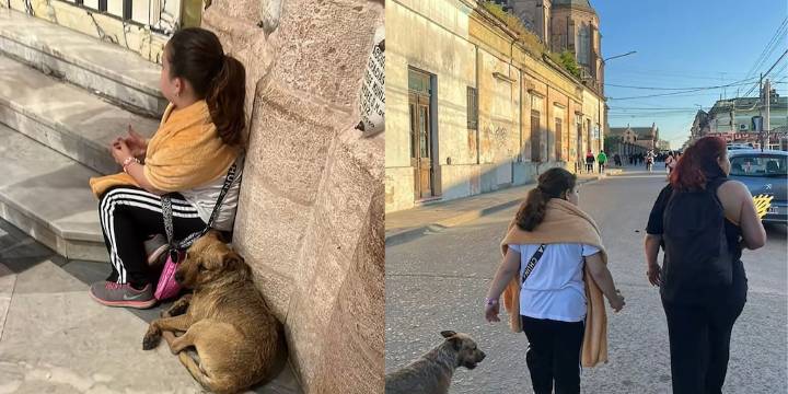 Un perro siguió a una nena durante más de 20 kilómetros en la peregrinación a Luján y el video conmovió en las redes