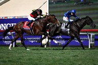 Past champions highlight pre-entries for next week’s Breeders’ Cup at Del Mar