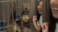 New York Shelter Pup Waited For Love, Then One Woman Finally Saw Him And Changed His Life