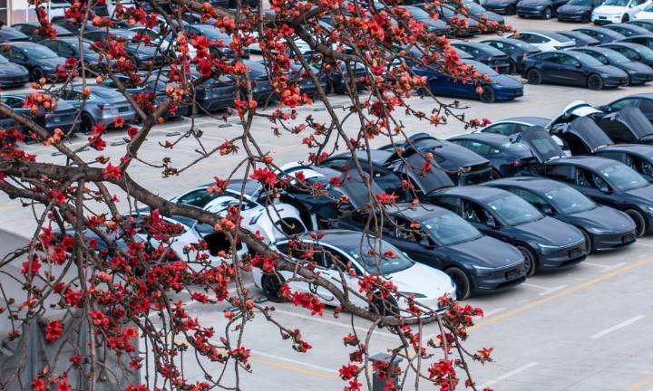 Tesla enters new stability phase, firm upgrades and adjusts outlook