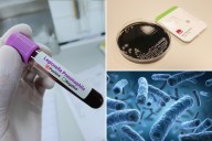 Council law boosts testing for Legionnaires' disease in `cooling towers'