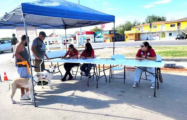 Protegen salud de mascotas con vacuna antirrábica