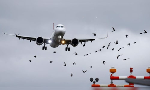 Direct flights between Kolkata and China's Guangzhou to resume from 10 pm on Oct 26