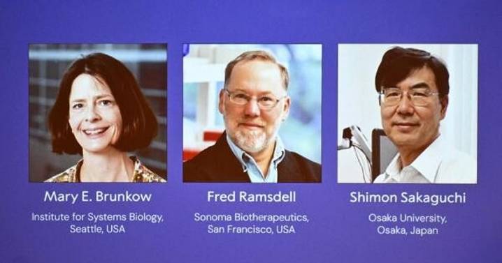 World Brunkow, Ramsdell and Sakaguchi win 2025 Nobel medicine prize