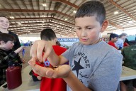 At Farm Fest, young Las Vegas learners discover that even desert soil can come alive