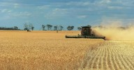 Harvesting shares for a substantial loss after EGM 